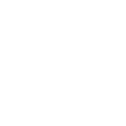 Award Logo 4
